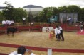 /album/fotogaleria-galeria-eventos-empresariales/lavirdieri2-jpg/